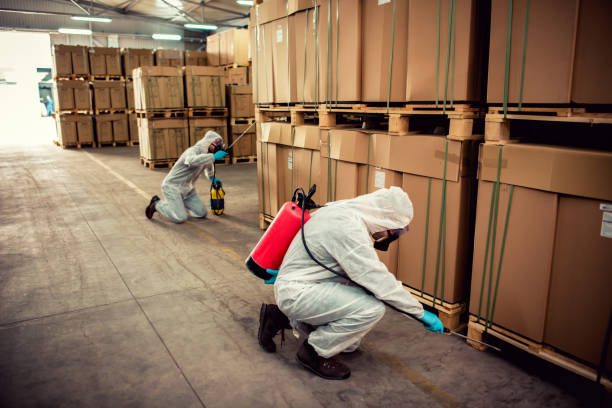 Professional Pest Control in Loudoun Valley Estates, VA