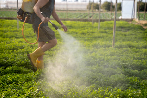 Best Commercial Pest Control Services  in Loudoun Lley Estates, VA