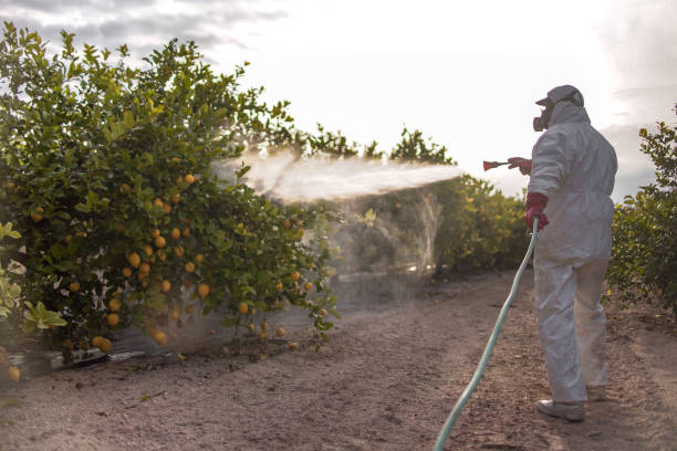Loudoun Valley Estates, VA Pest Control Company