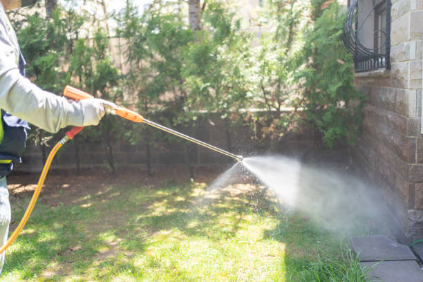 Best Pest Removal Services  in Loudoun Lley Estates, VA