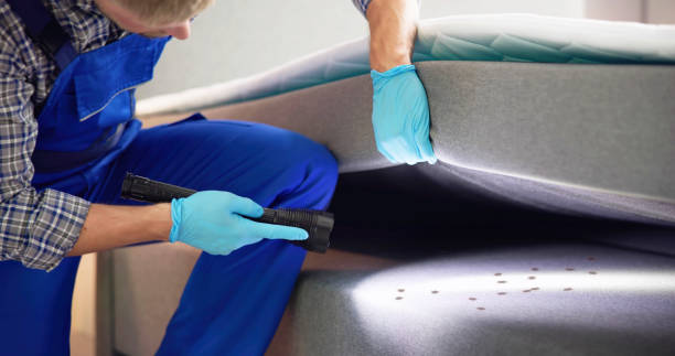 Best Cockroach Control Services  in Loudoun Lley Estates, VA