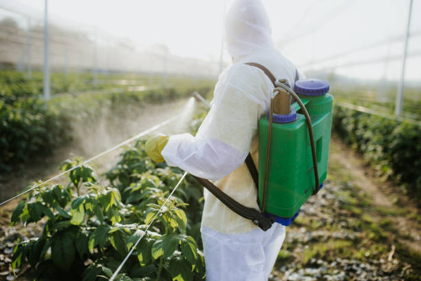 Best Affordable Pest Control Services  in Loudoun Lley Estates, VA